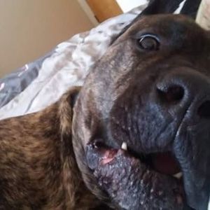 Meet your Posher, Hope